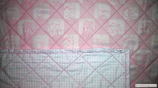 Pink Winnie the Pooh front and back